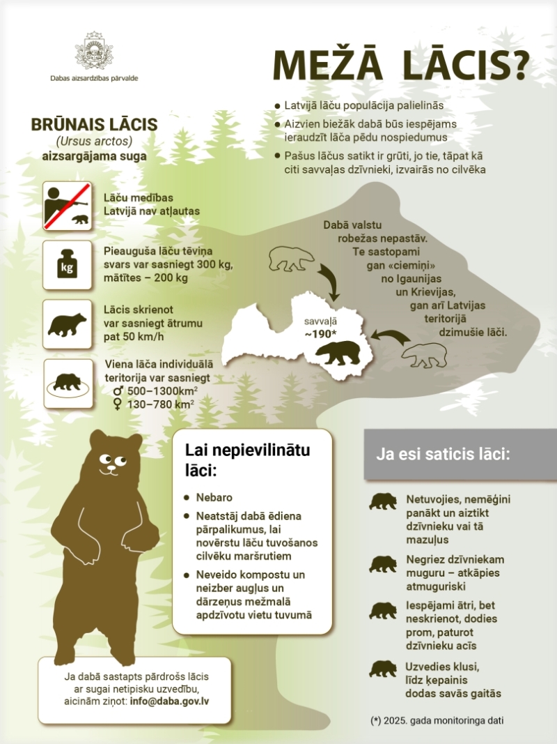 Infografika_lācis 2026