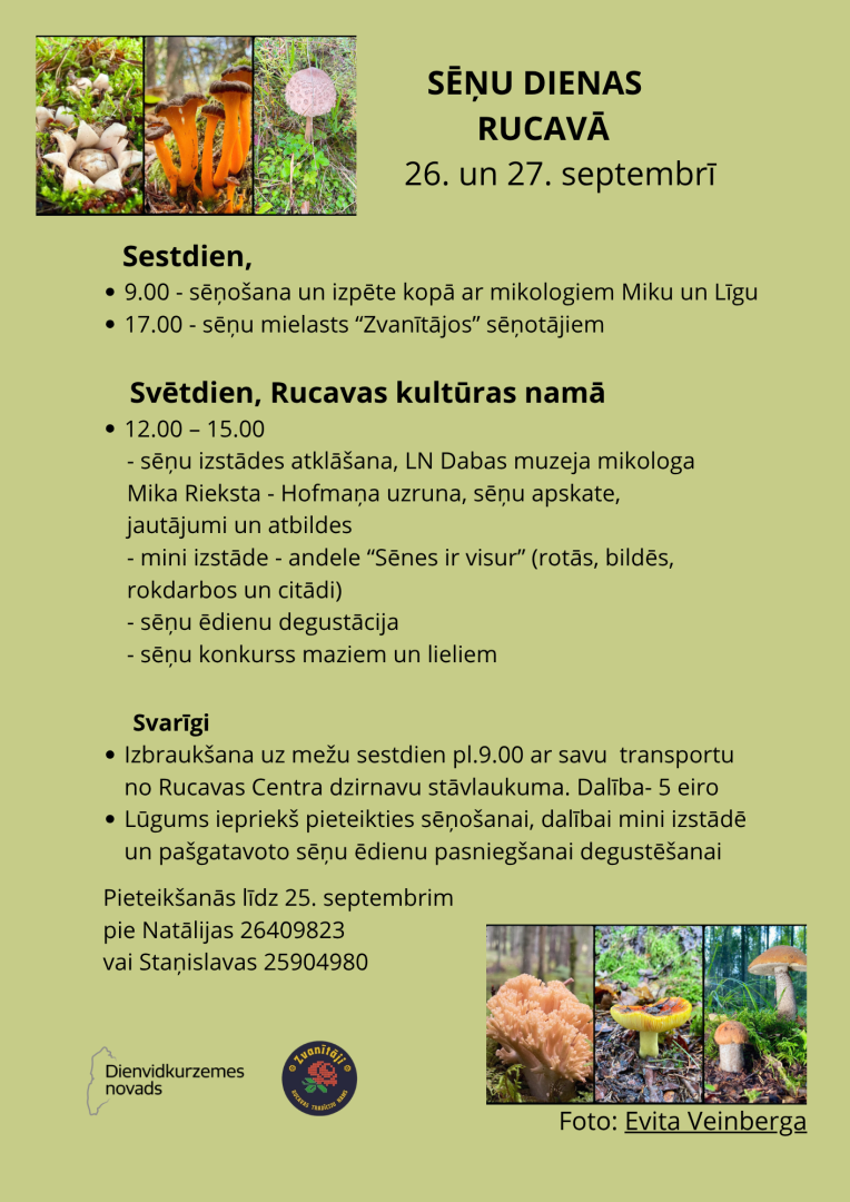 Sēņu dienas