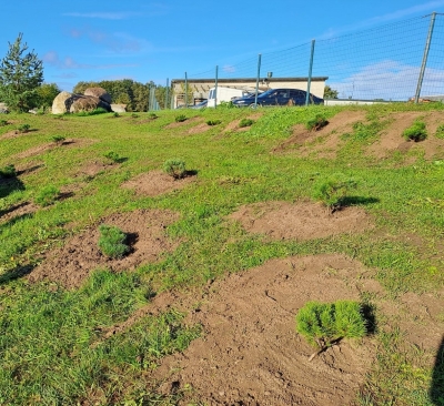 Grobiņa