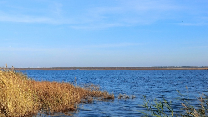 Liepājas ezers