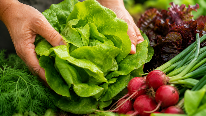 scaling organic