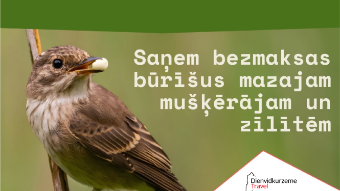 Putnu būrīši