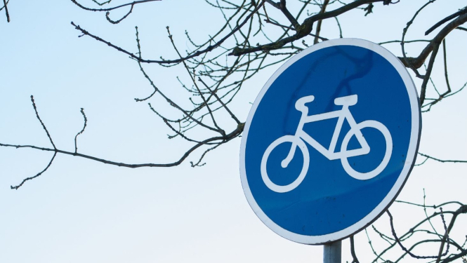 Velo zīme