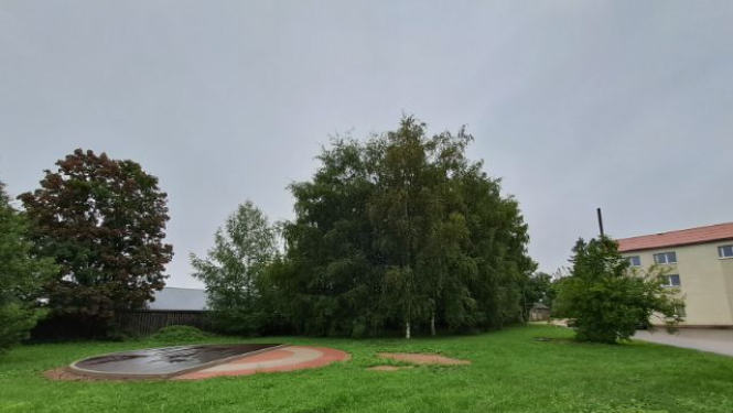 Vaiņode