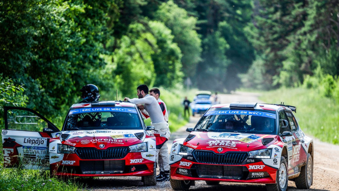 Rallijs