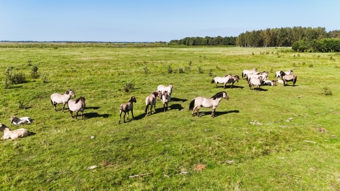 rucava_dienvidkurzeme_d_gailite_46