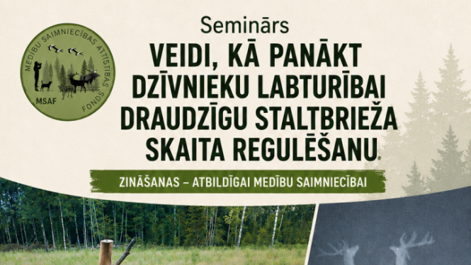 staltbriezi_seminars