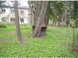 Muizas_2_Cimdenieki_bild