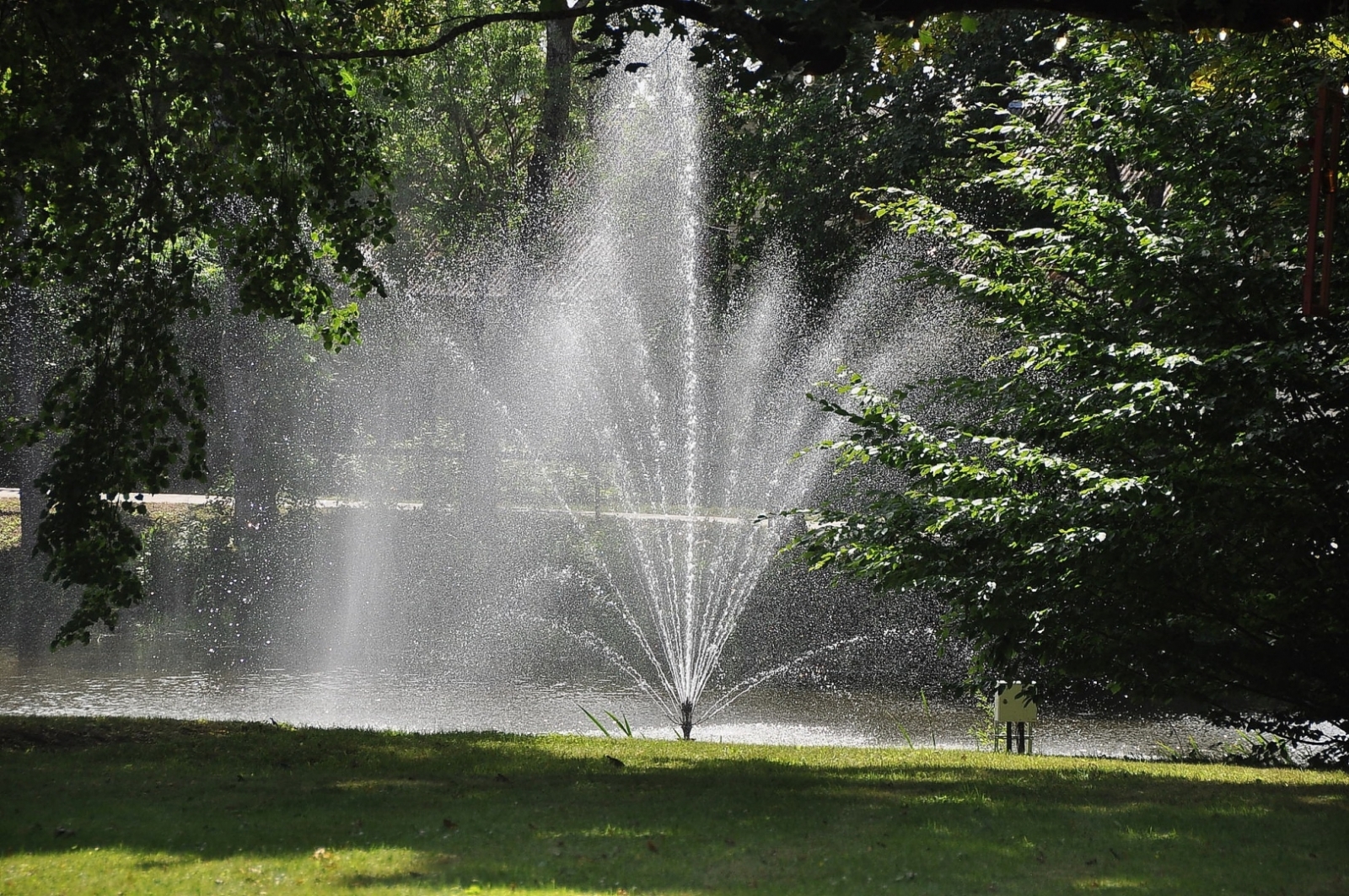 Rucavas parks