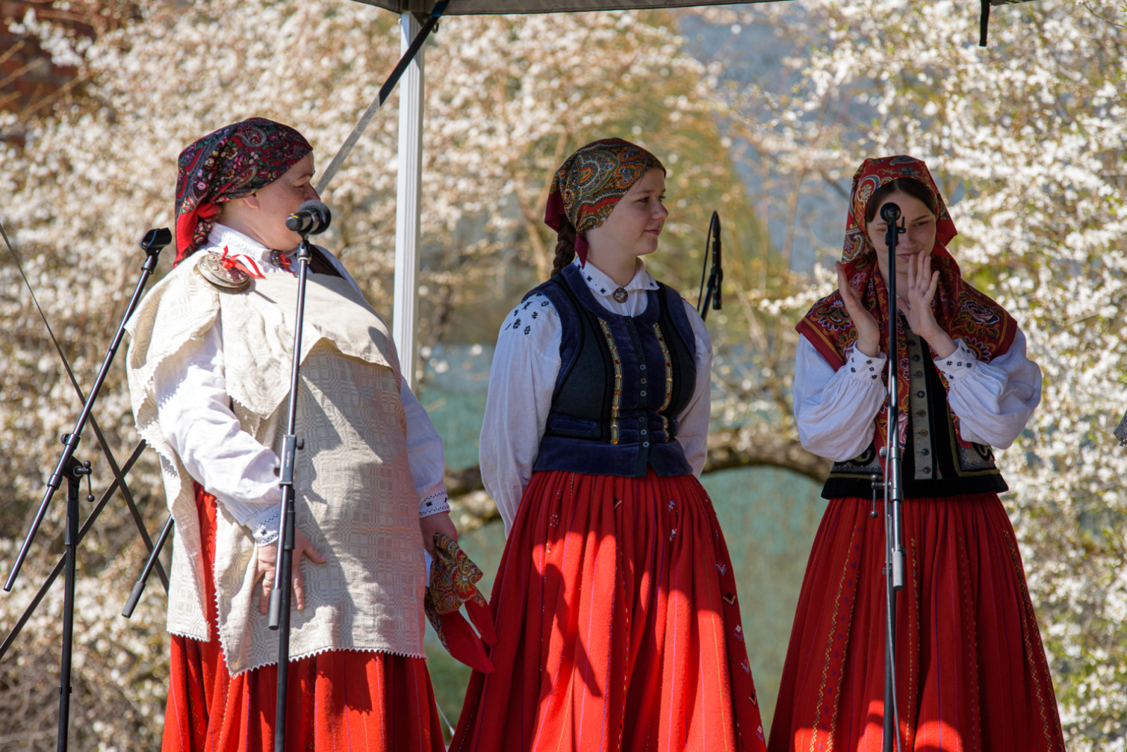 D75_0757-Kalnux_photo