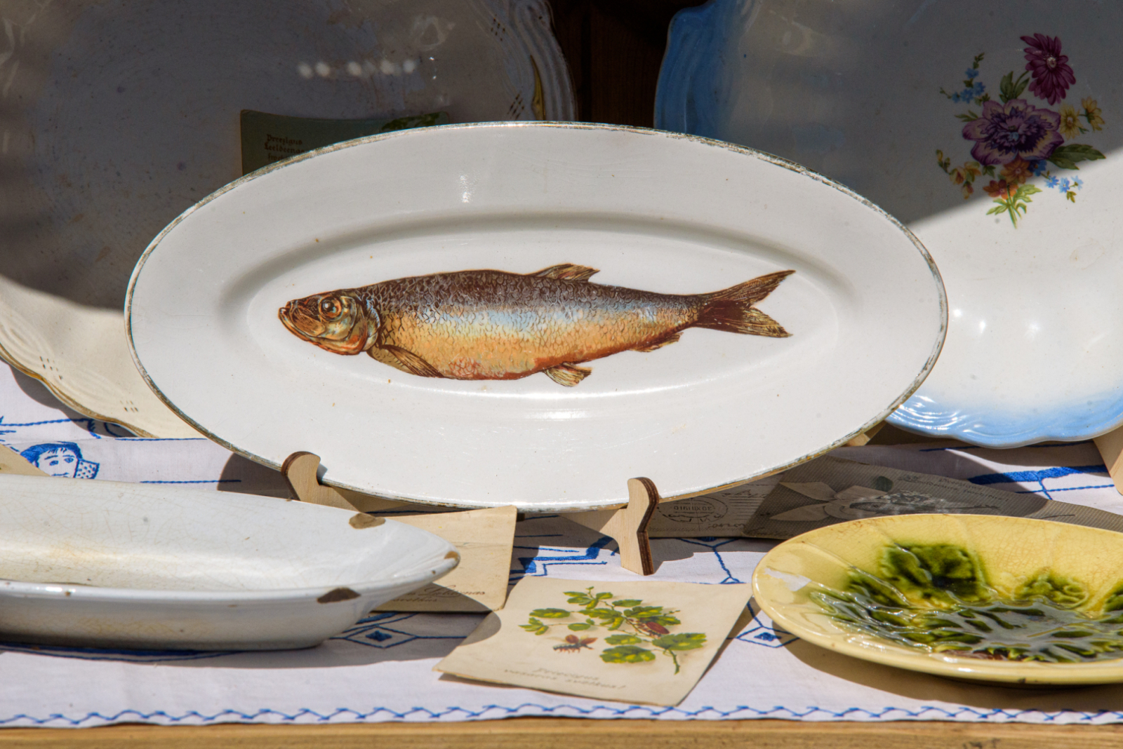 D75_0827-Kalnux_photo