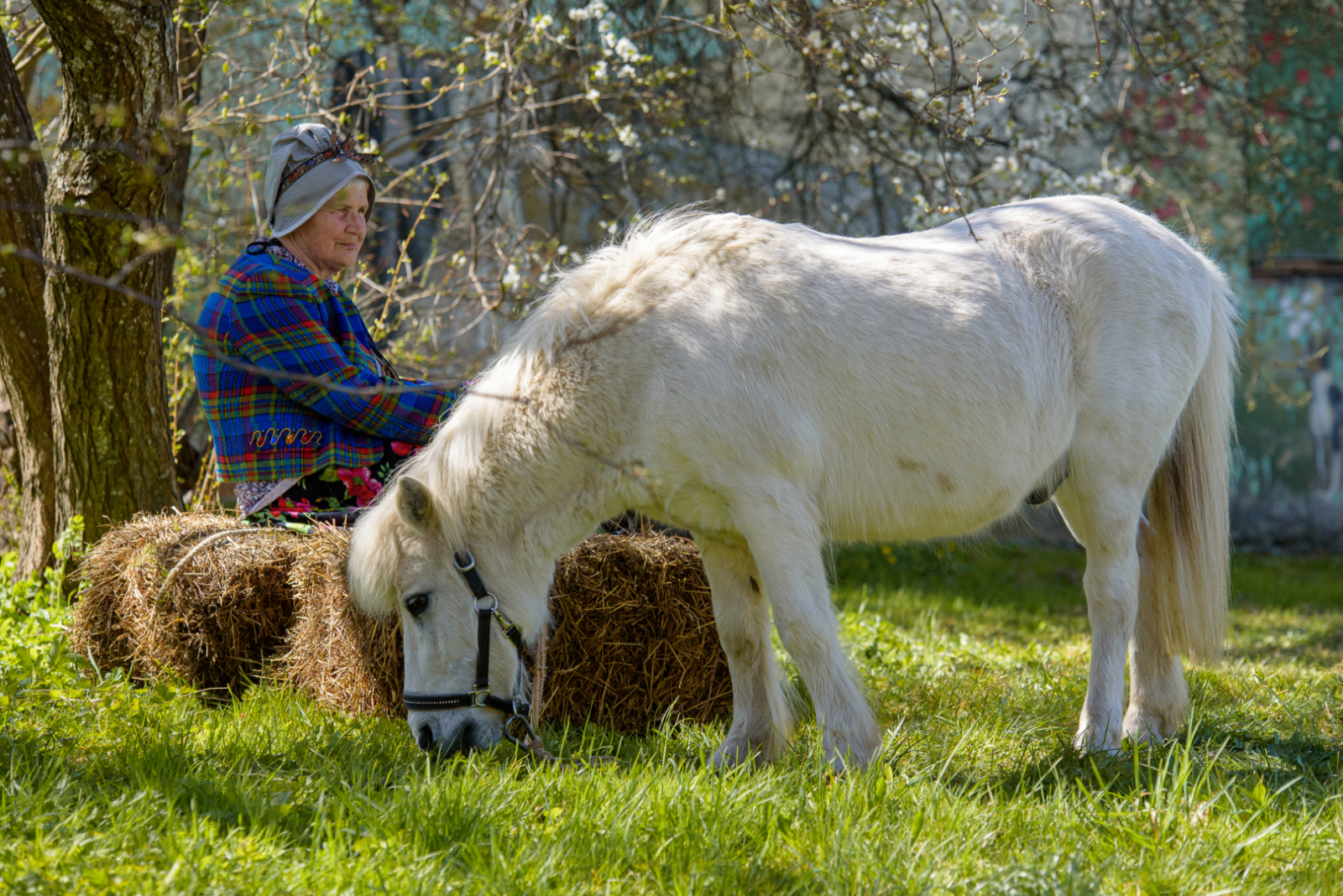 D75_0898-Kalnux_photo