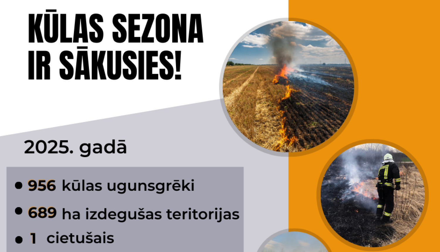 01313466-5df3-4882-84d2-82e8de55dc6d