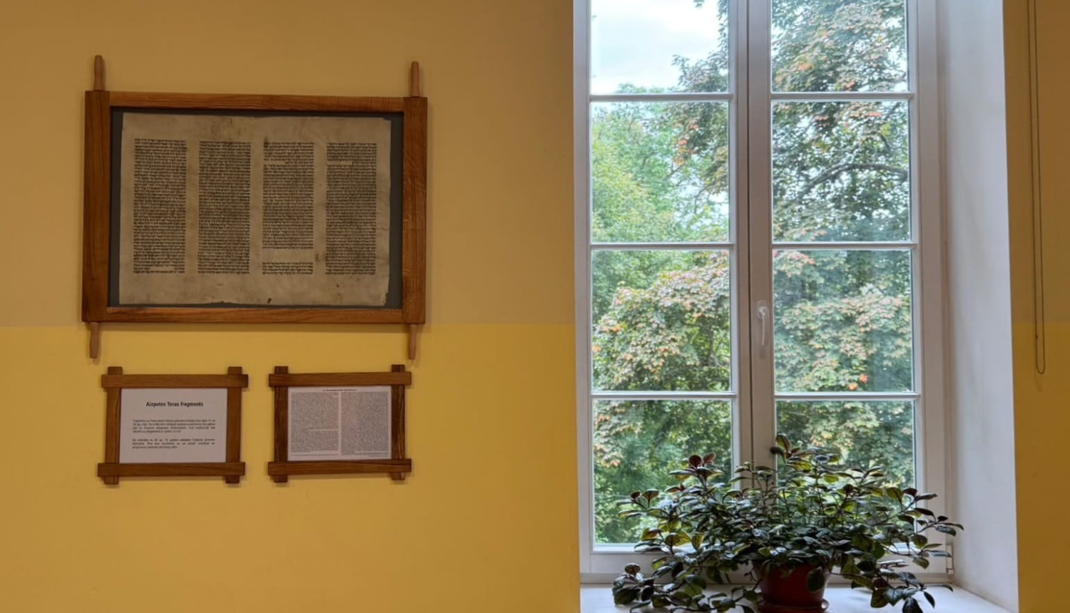 Toras fragments