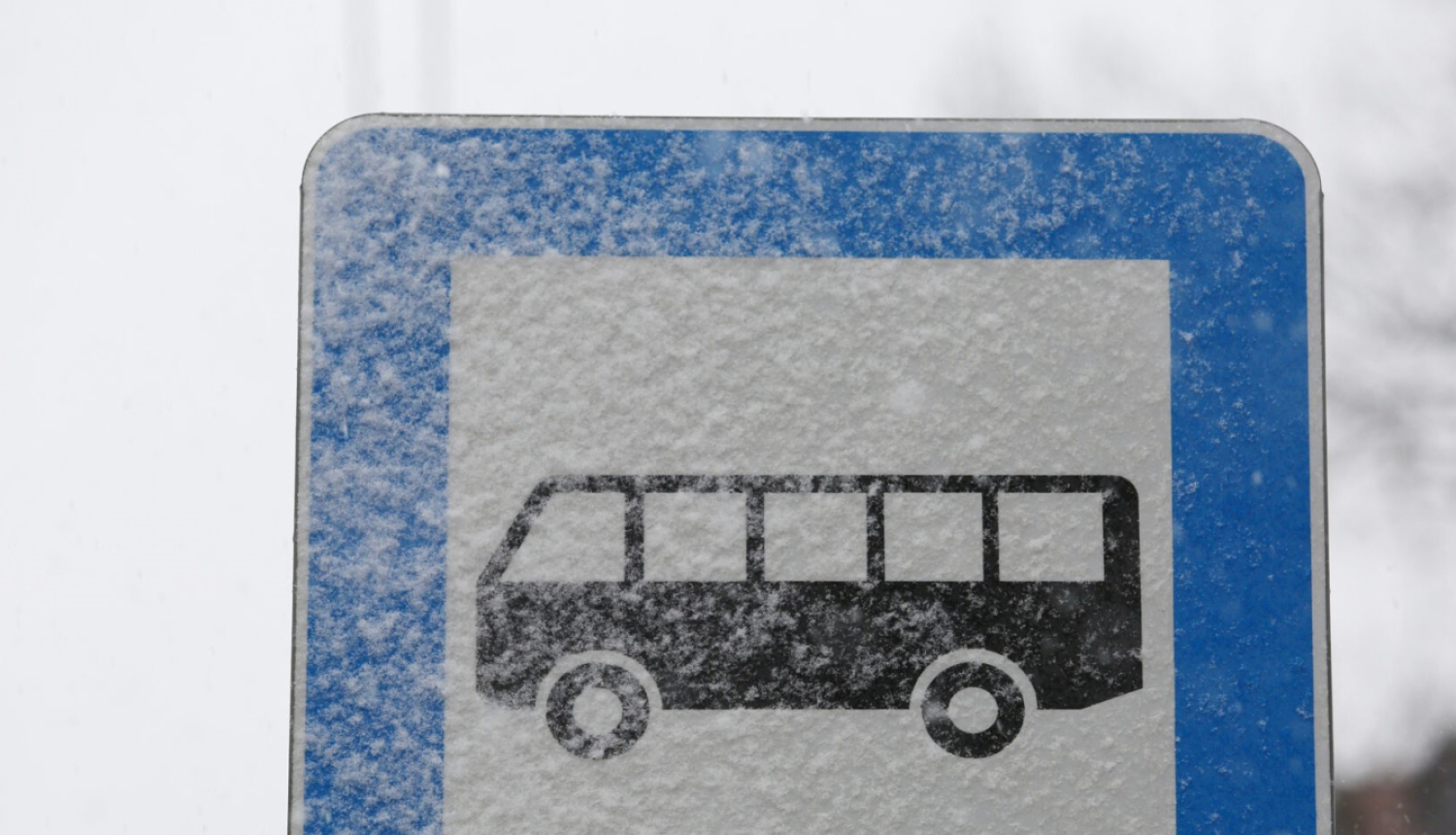 Autobuss