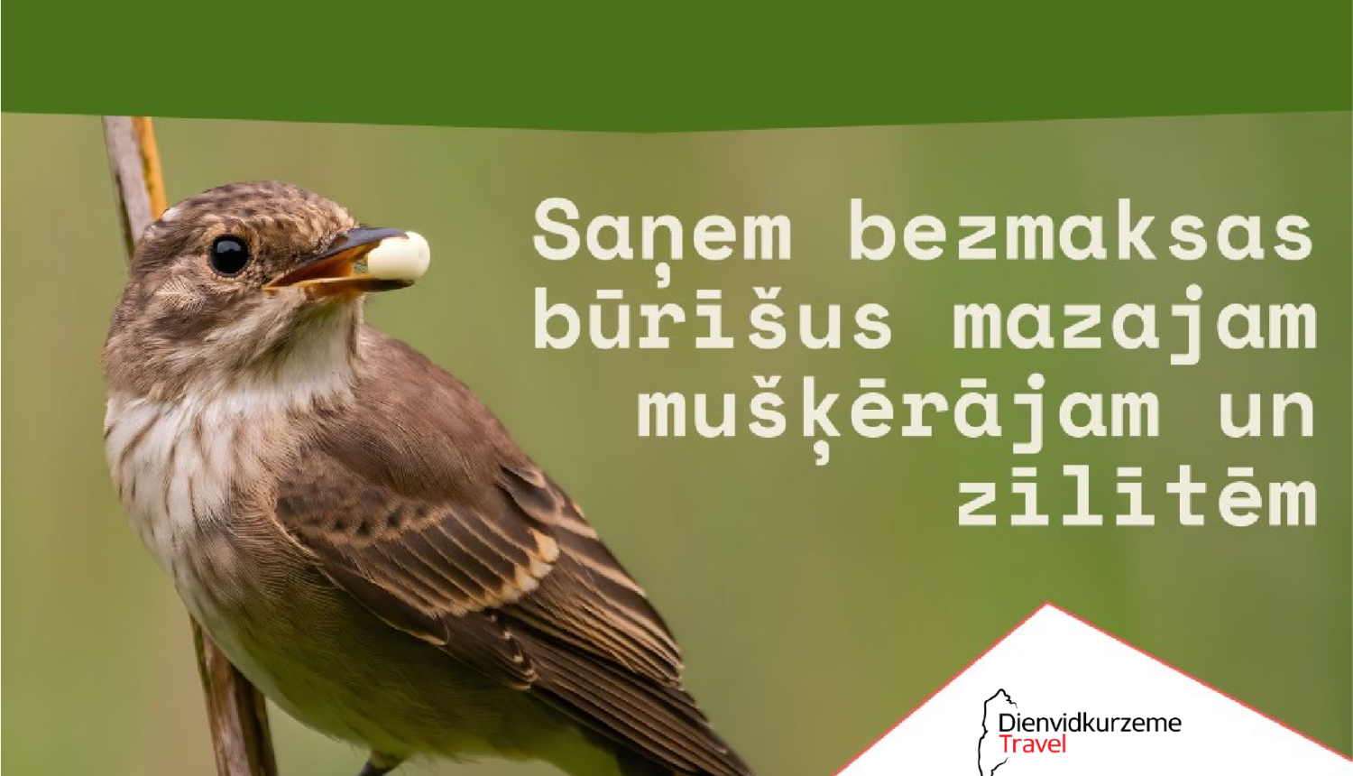 Putnu būrīši