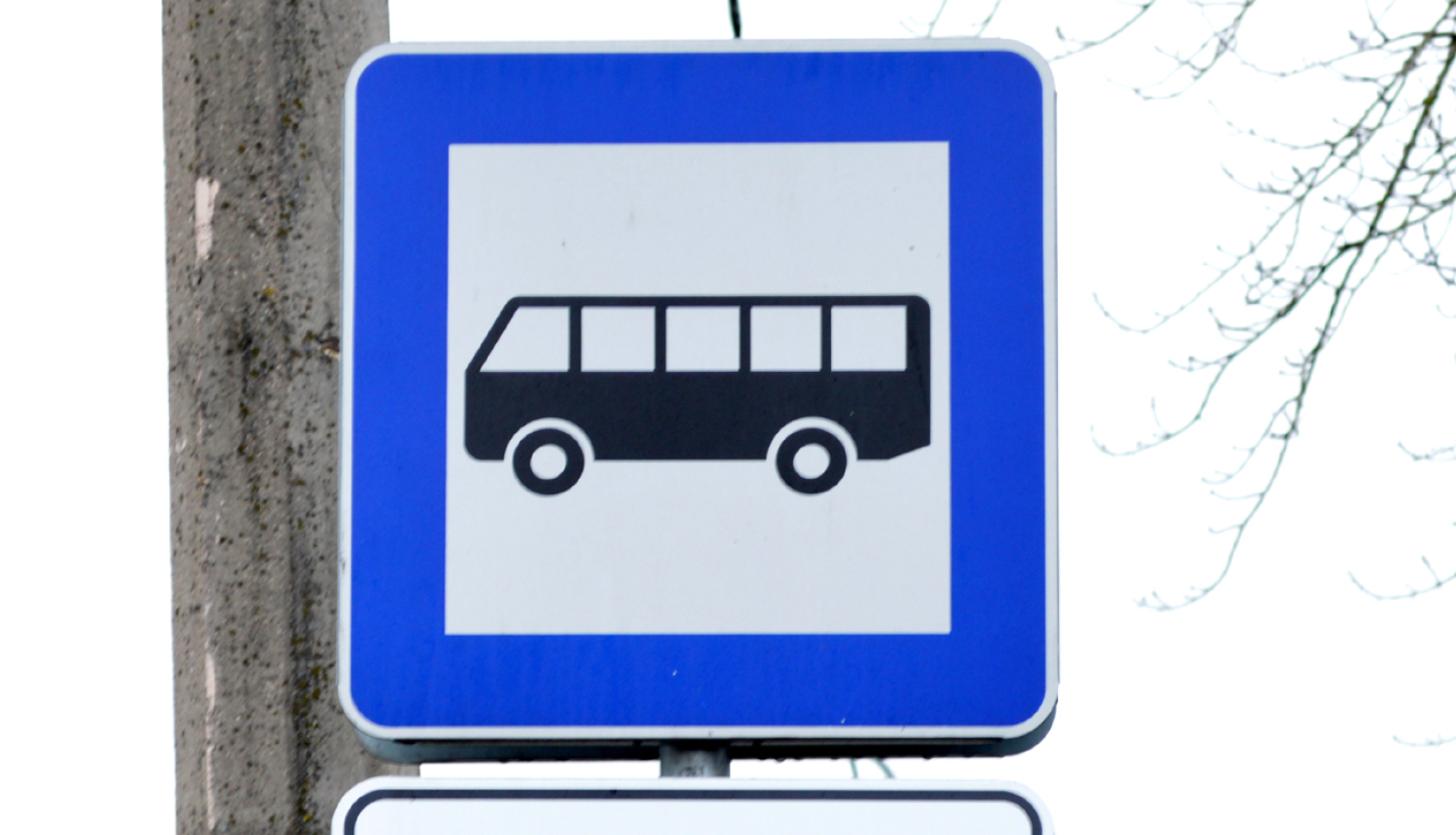Autobusa pietura