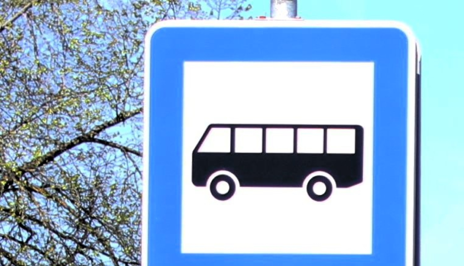 autobuss_3