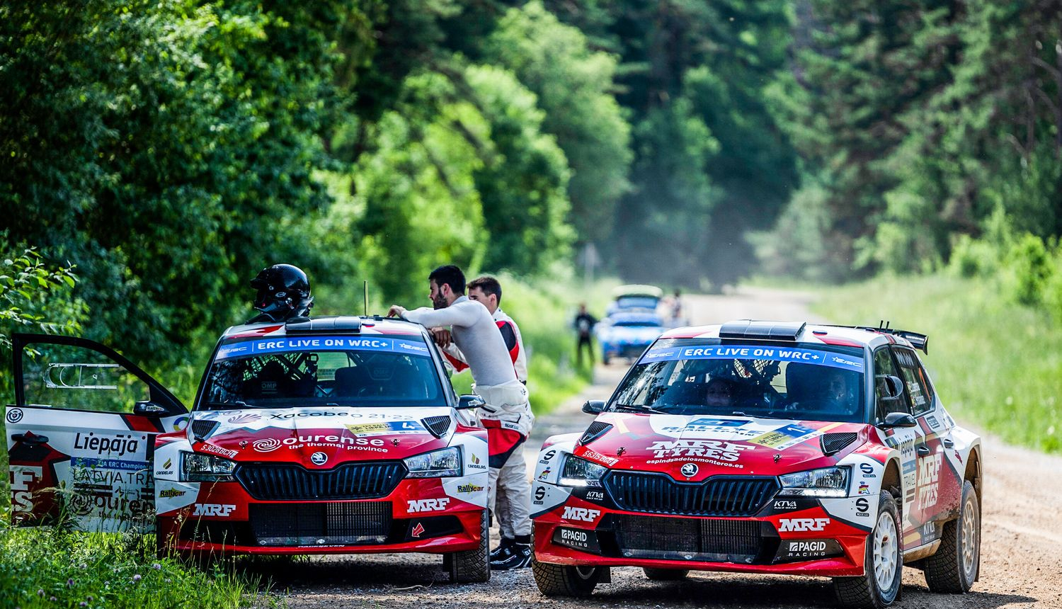 Rallijs