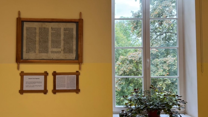 Toras fragments