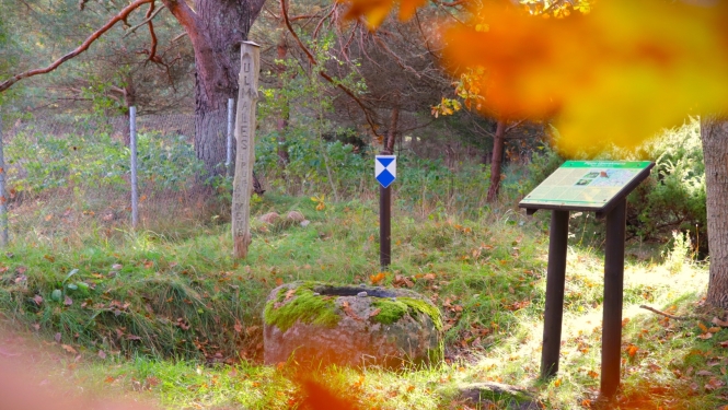 izpedo_dienvidkurzemi_ulmale_dace_gailite
