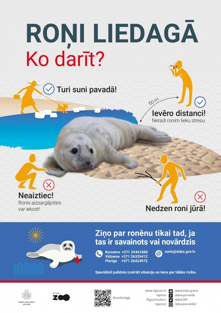 Roņi
