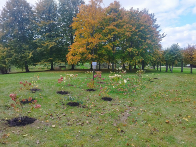 Pāvilostas Simtgades parks