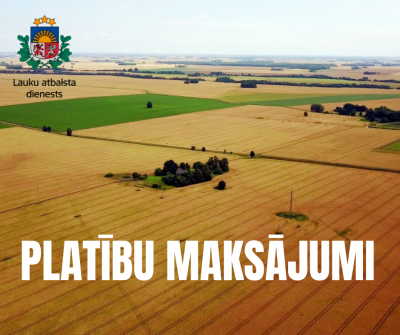 Platibu maksajumi