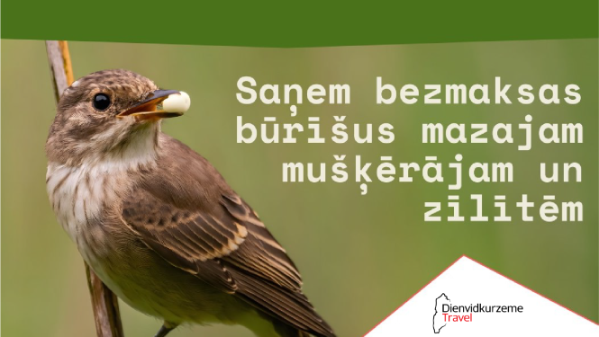 Putnu būrīši
