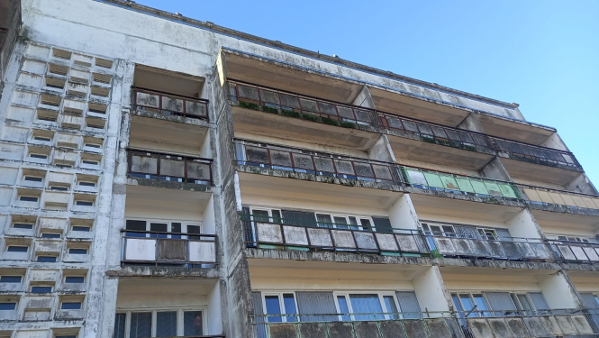 WhatsApp Image 2025-02-06