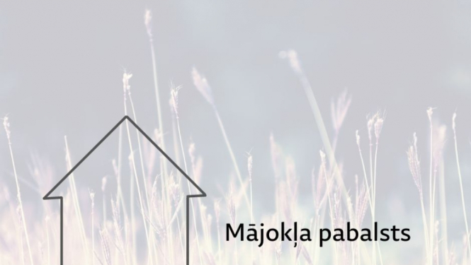 Mājokļa pabalsts