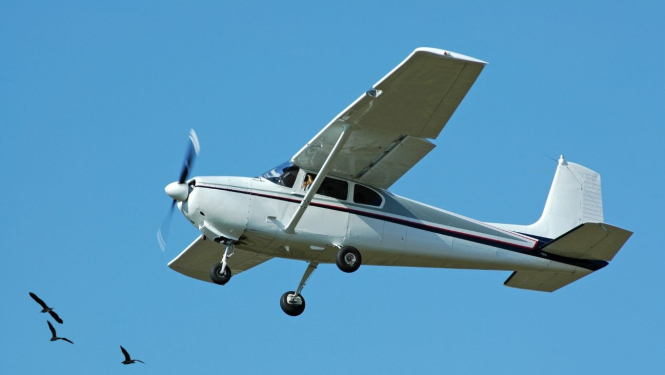 Ziemojošo putnu vērošana