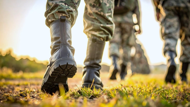 Jūras apēku mācības