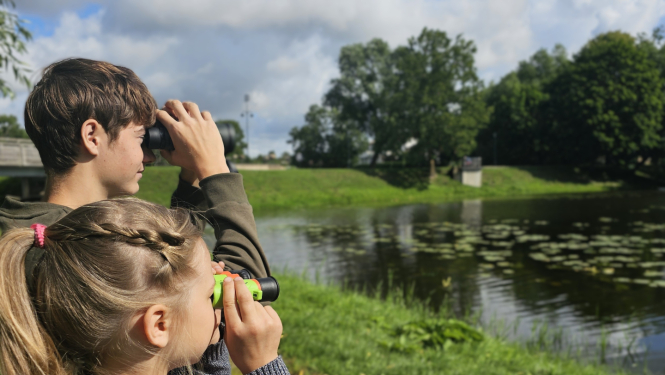 Putnu vērošana Dienvidkurzemes novadā