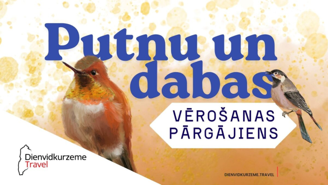 Putnu_verosana_Pavilosta_Dienvidkurzeme_Travel