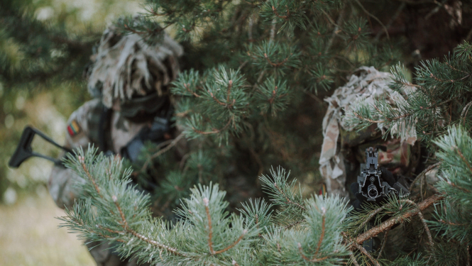 Namejs - cimdeniekos