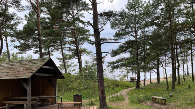 Piekrastes apsaimniekošanas praktisko aktivitāšu realizēšana