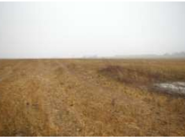 Birztalas_lanka_Kaleti_bilde