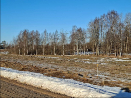 Celmalas_zeme_Embute_bilde