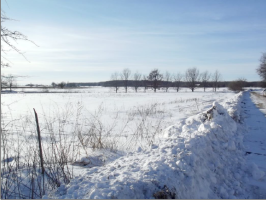 Gravas_Tadaiki_bilde.