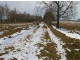 Jaunie_Oskalni_Rucava