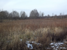 Kalna_Riekstini_Bunka_bilde