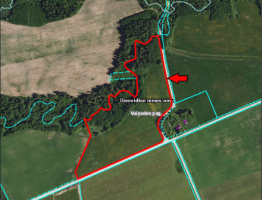 Mazie_Liekni_Vainode