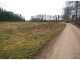 Pelēči