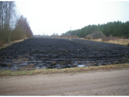 Piegulas_Nica