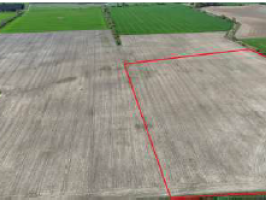 Plavas_Matarinas_Nica_bilde