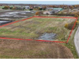 Pukenieki_Tadaiki_bilde