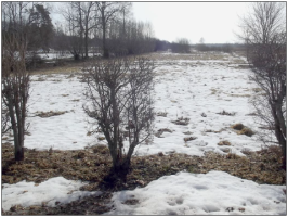 Raina_6B_Durbe_bilde