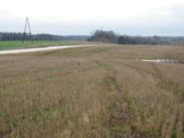 Rudzkalni