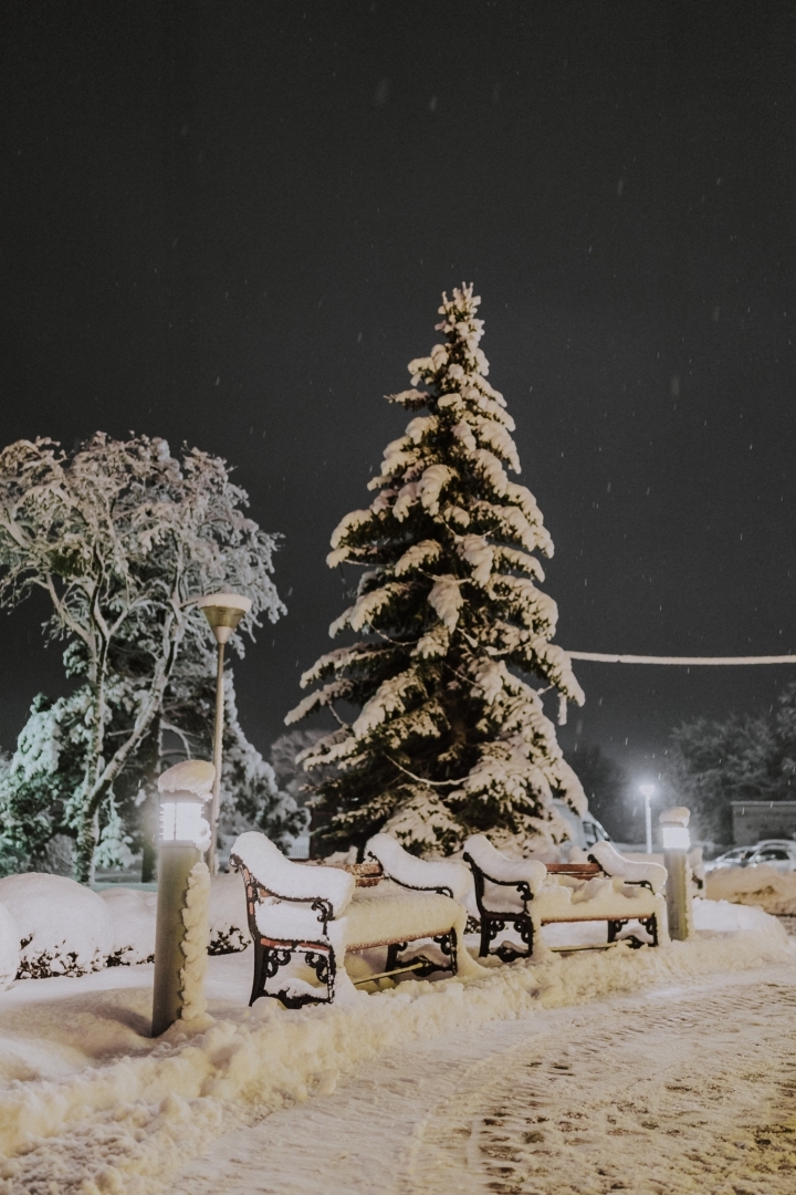 Kristera Reiņa fotogrāfiju izstāde "Ziemas raksti"